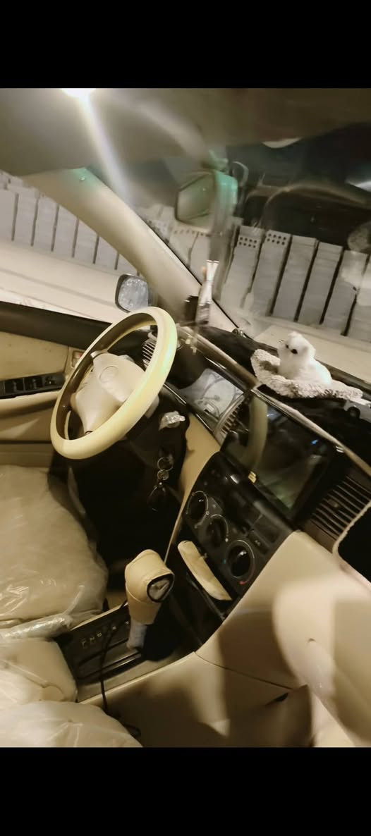 سلام عليكم كورله بيكاجو للبيع
سياره جاهزه الف دينار مذب عليه مجنبزه كامله من كلشي 

محرك جديد كير جديد تخم تاير جديد دبلات جدد 

كلوبات وره جدد تنته جديده شاشاه جديده دوشمه جديده دسكات جدد 

صبغه جديده سنويه جديده ارقام جدد قبل شهرين طلعتهن سياره كامله مكمله تعميره جديده تاخذه ما ذب عليه شلعه تشك الكاع مكانه البصره قضاء المدينه تعل وبيك خير وتدلل  سعره 63وبيه مجال رقم ***********
