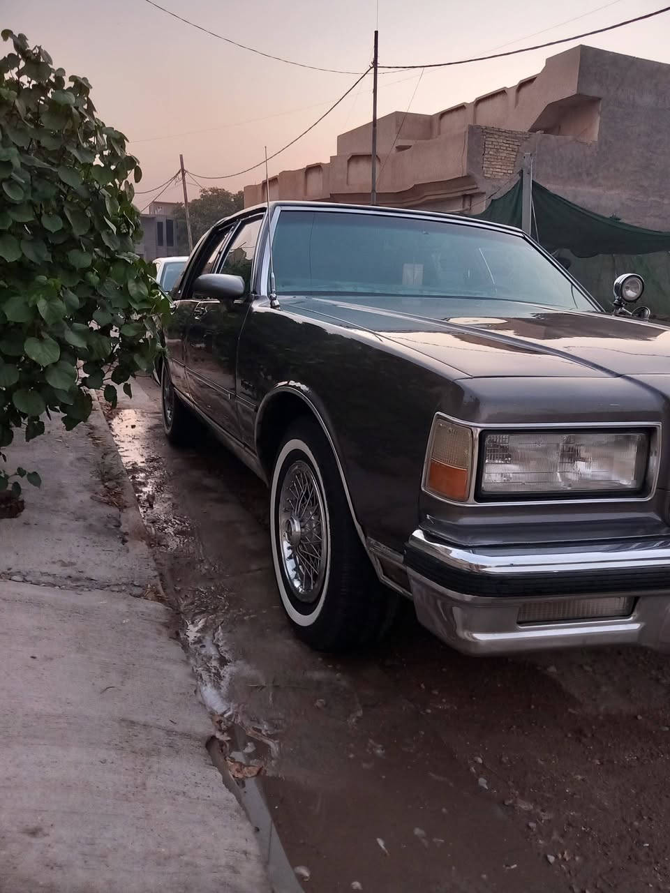 اللهم صل على محمد وال محمد
سلام عليكم 

كابرس للبيع 

موديل 1987 

رقم جديد دولي ذي قار 

نقصها بس تبريد فقط 

كير 700 

مكينه 8 سلندر بلاديه  305 لا صرف ولا بخار 

داخلها كوله ع بلادي 

تعمير خارج فقط صبغ 

خير من الله سياره للاستفسار 📞 

واتساب 📞 ***********

واسط الصويره

تعجبك السياره تشلع عيوني متعجبك اعبر المنشور لا تخليني ارد عليك مع احتراماتي للزينين 

السعر 53 وبيها مجال واني خادم للطيبين
