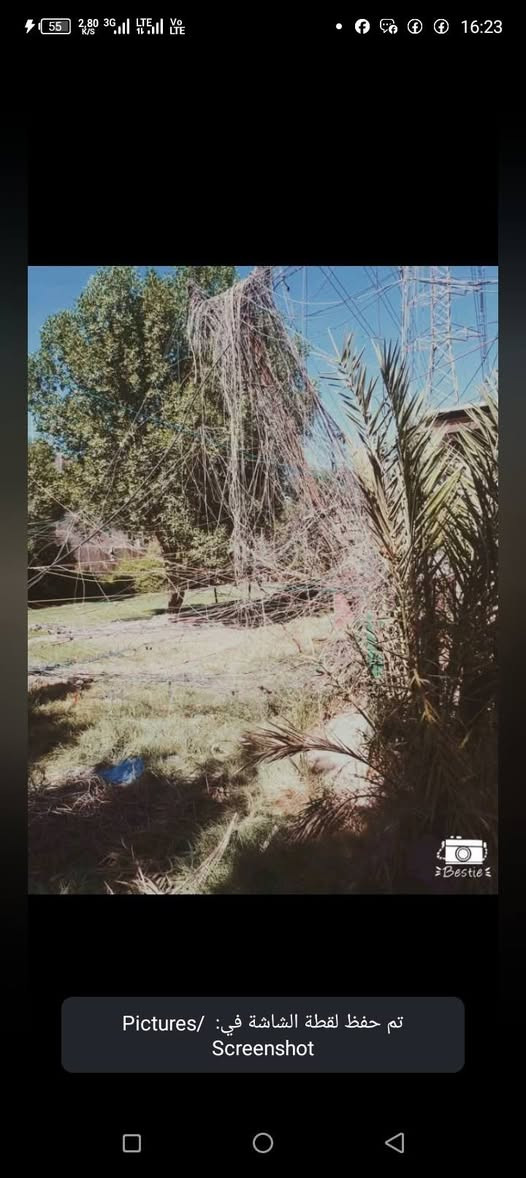سلام عليكم اخواني اصحاب المولدات في جميع محفضات العرق يوجد كادر كهربائيين نشتغل تصفيت لوايرات مجانية يعني بلاش بدون اجور شغل درجة والة مثل ما تشوف بل صورة واي قطع يصير امسوليتنة احنة انسوي ونشتغل ايضن تحويلة موقع كامل نصب كابينات خارجية تصميم بورد داخلي تسليك ضفاير خارجية وهاذة رقمي ☎️‏‪*********** متواجد وتساب والخاص موجود
