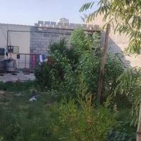 بلدروز • حي الزهراء • ٢٧٠م