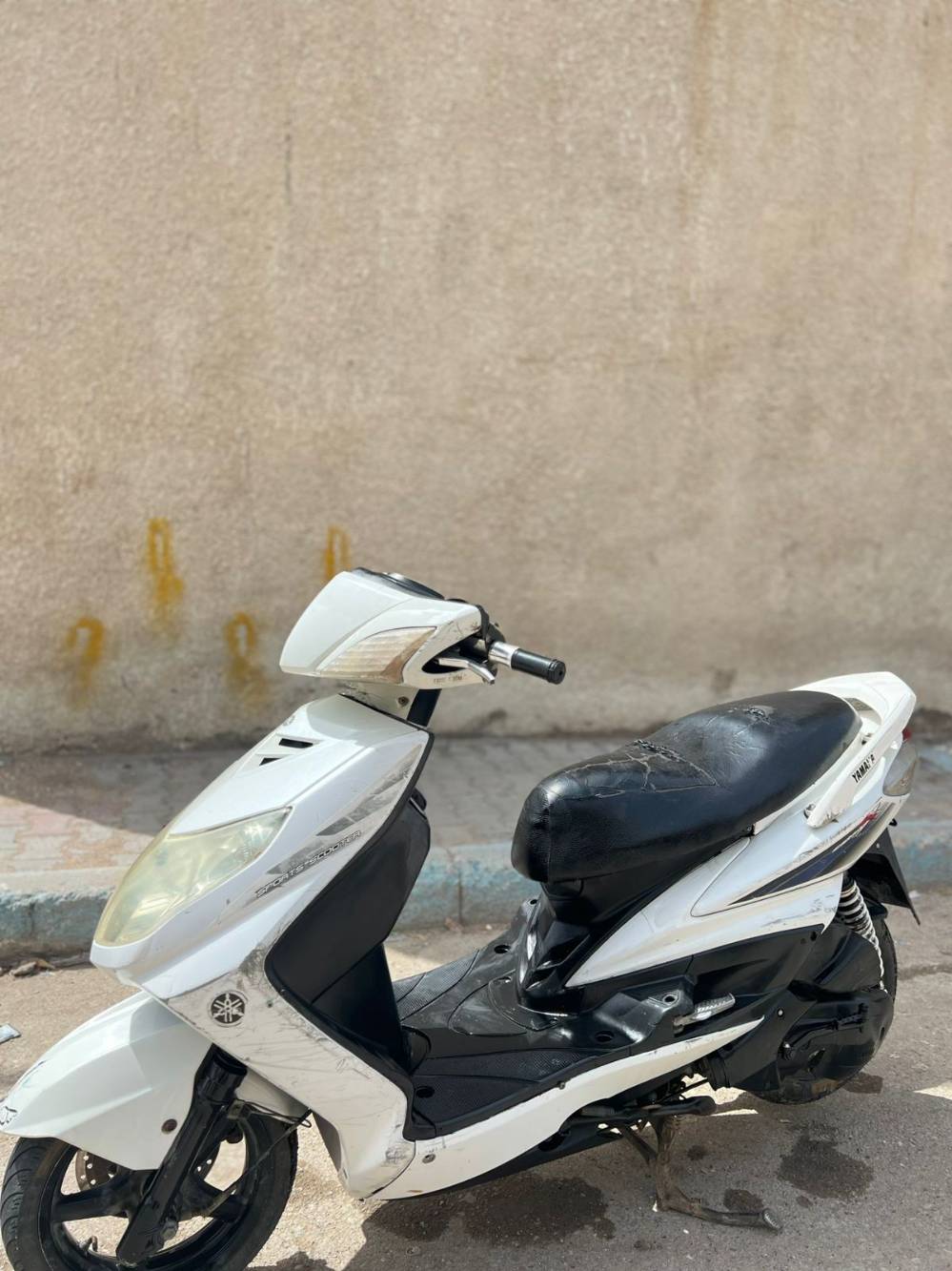سكنس فحل • ياباني • نفخ