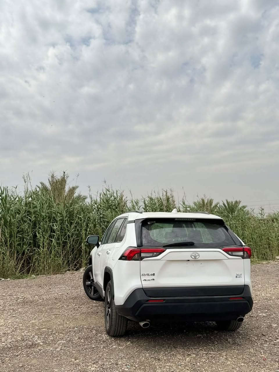 راف4 هايبرد • ٢٠٢٥ • رقم بغداد