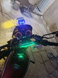شاينك • ٢٠٢٣ • مكفوله