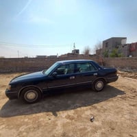 راس ثور • مكفولة • تحويل ثاني يوم