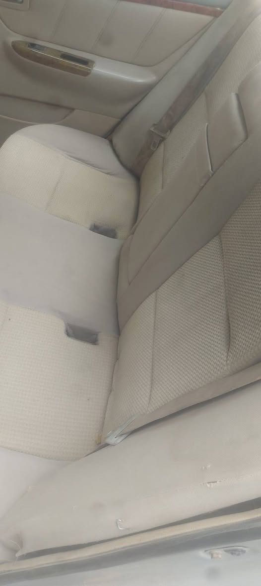 جيلي • ٢٠١١ • رقم بابل