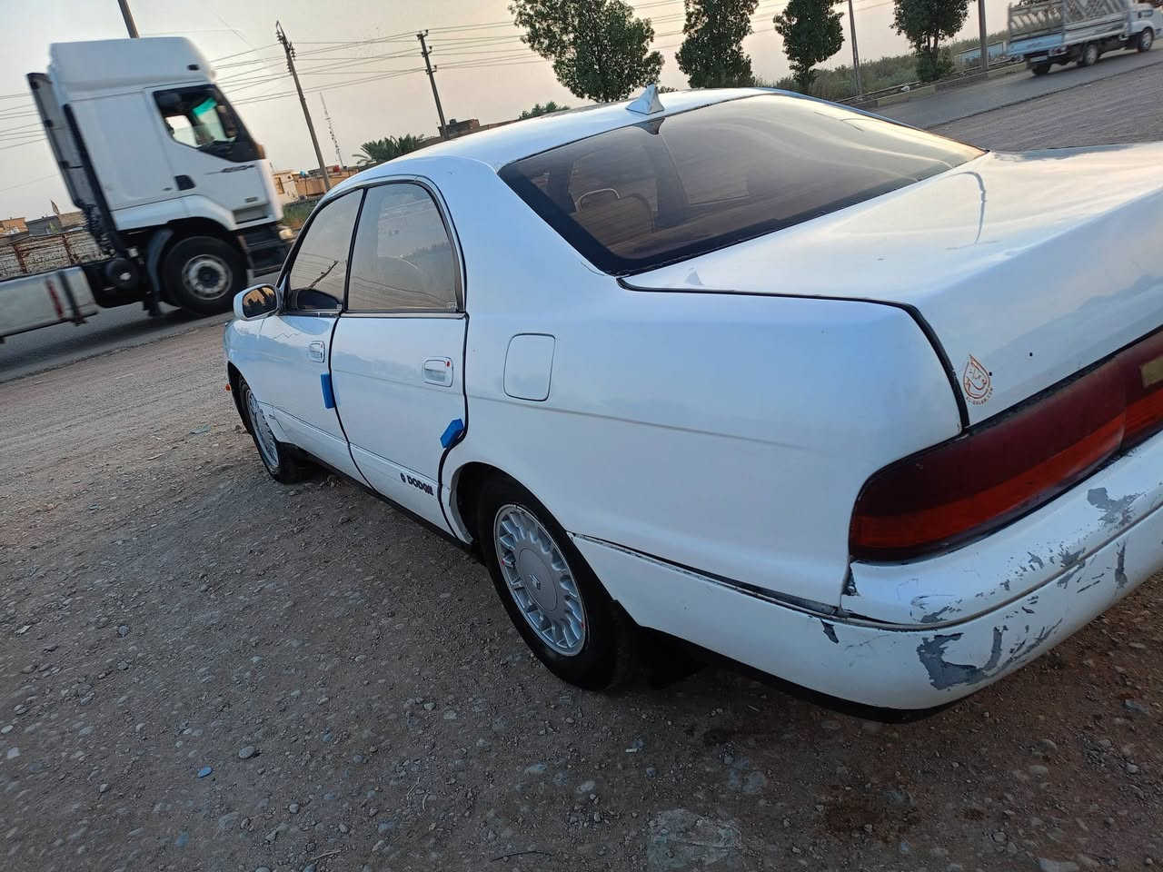 بطة • ١٩٩٢ • ورقة