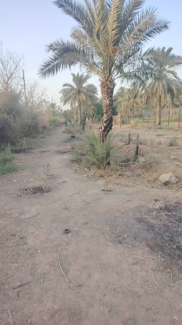 يا الله سلام عليكم يتوفر عندي دونم طابو ملك صرف عنوان لزعفرانيه عله فرع لنهر دجله خدمات كامله يصلح سكن يصلح مزرعه
