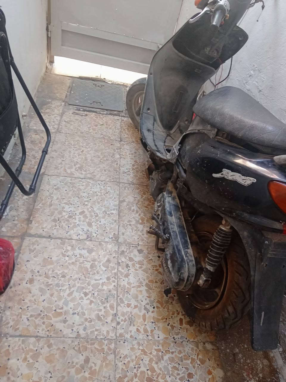 عصفور شغاله متروكة 100بغداد الحريه
