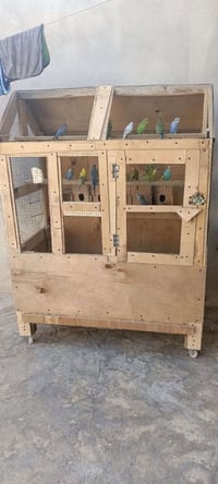 بس القفص للبيع السعر 45 بي مجال التواصل علا هاذا الرقم 07512276463