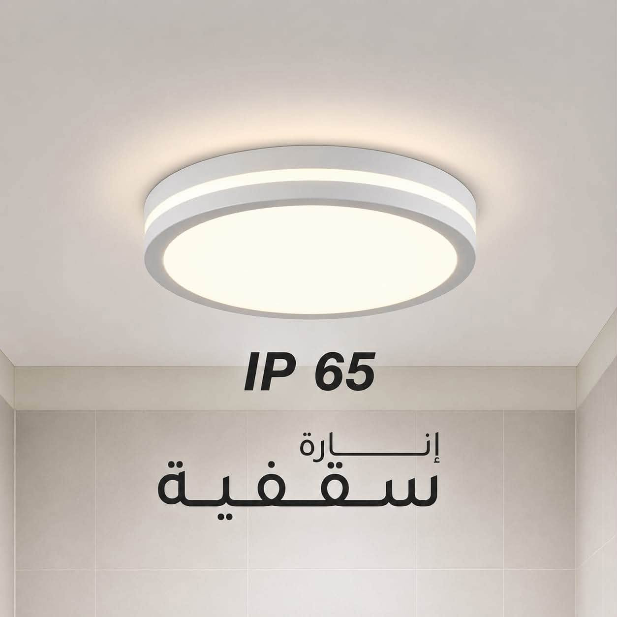 انلوكس • إنارة سقفية • IP65