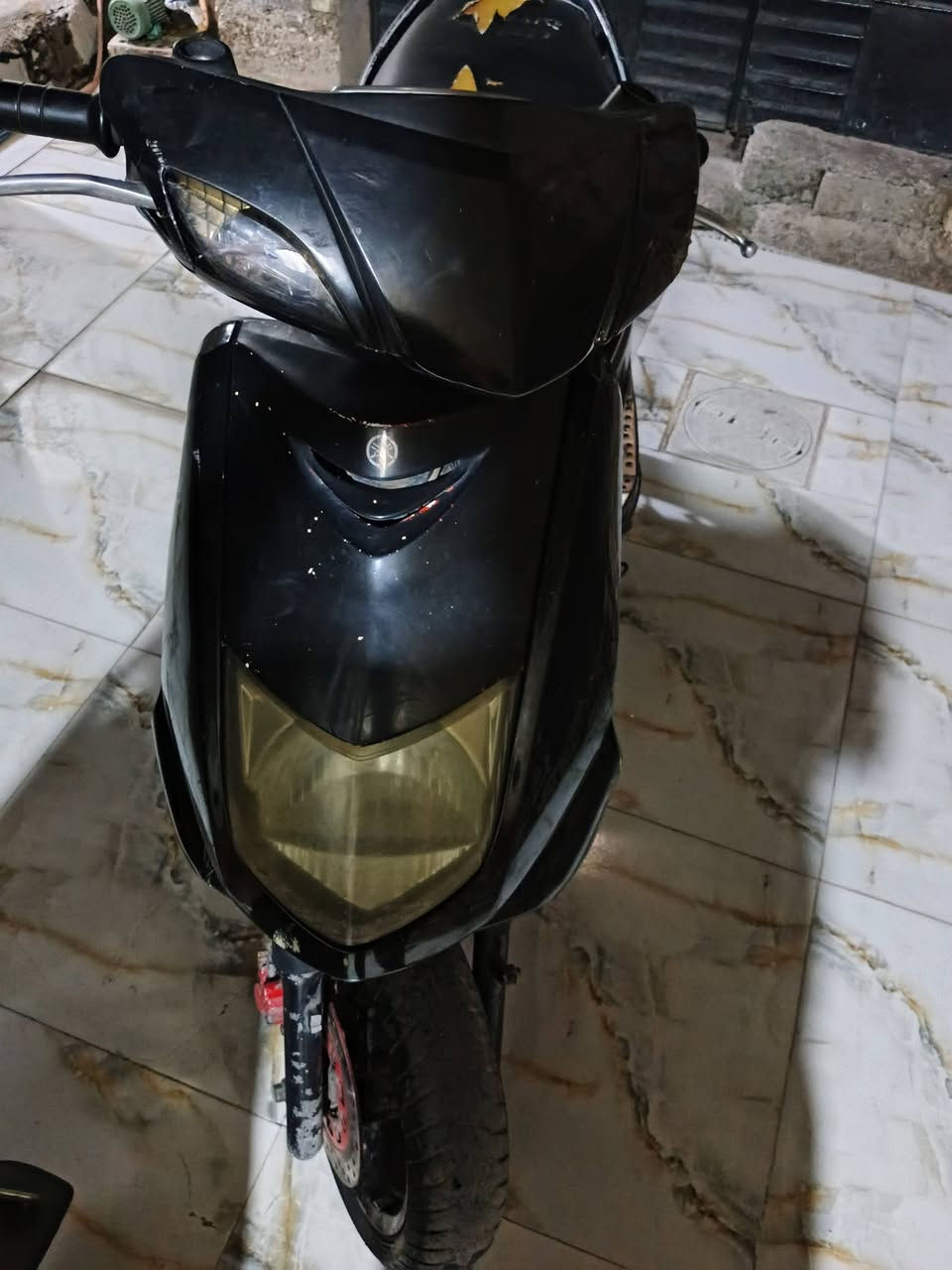 سكنس نثيه • سلف • بدون اوراق