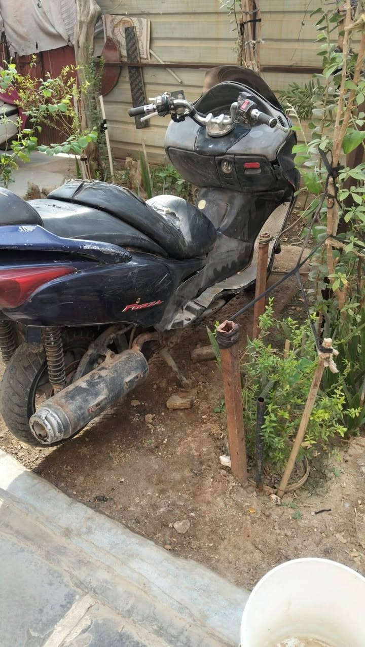 فورزه • ٢٥٠