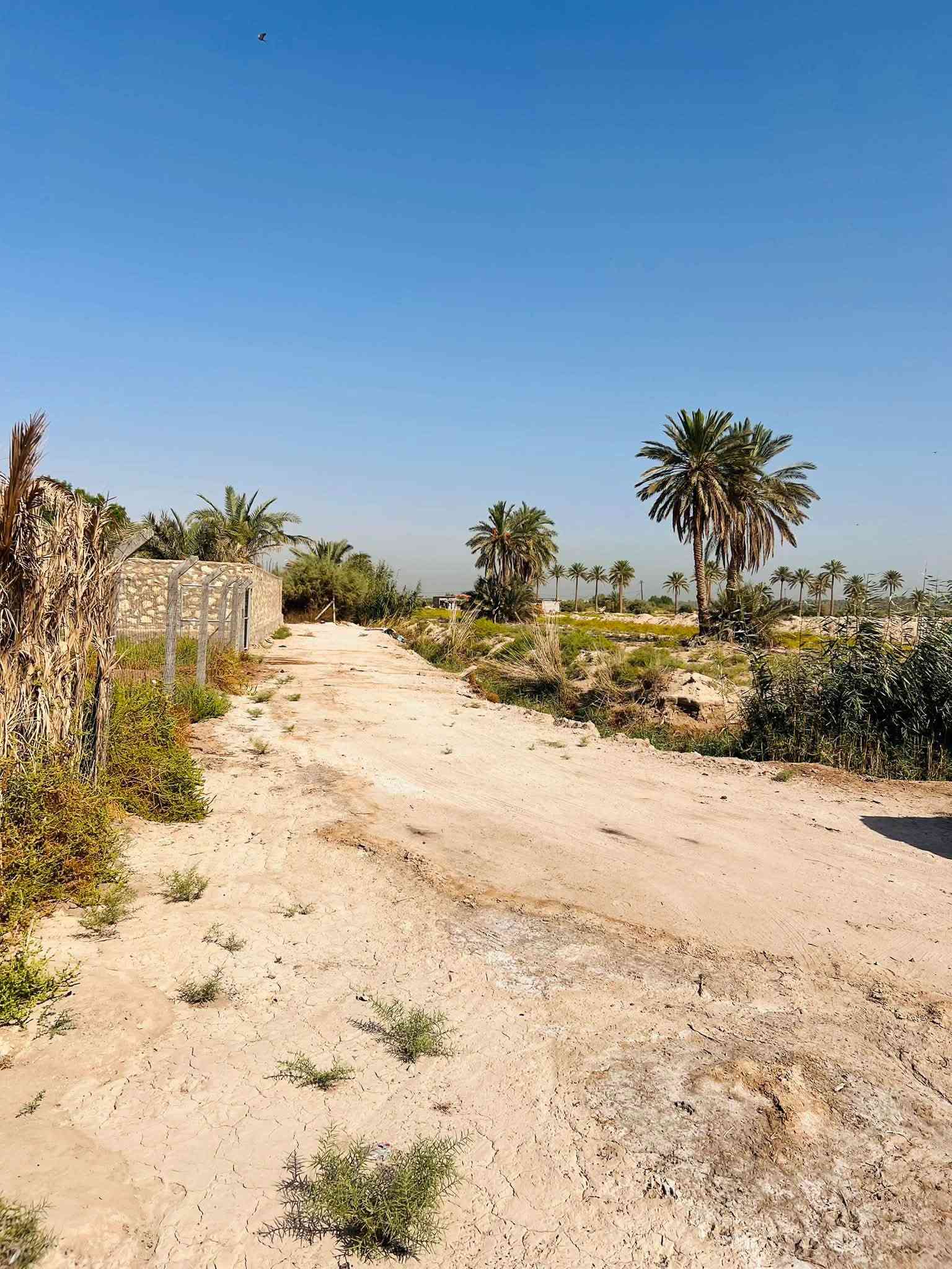 دونم طابو زراعي الواجه ٢٥ متر  النجف مناذره شارع الحصينات قريب ع شط موقع حلو ماء كهرباء كلشي موجود السعر ٣٥. او مراوس بيت ***********
