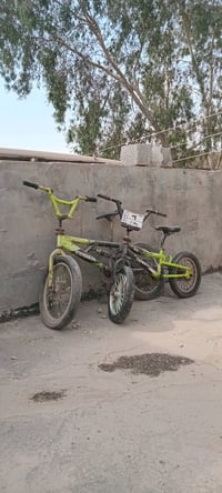بي إم إكس • عاطلات • بغداد