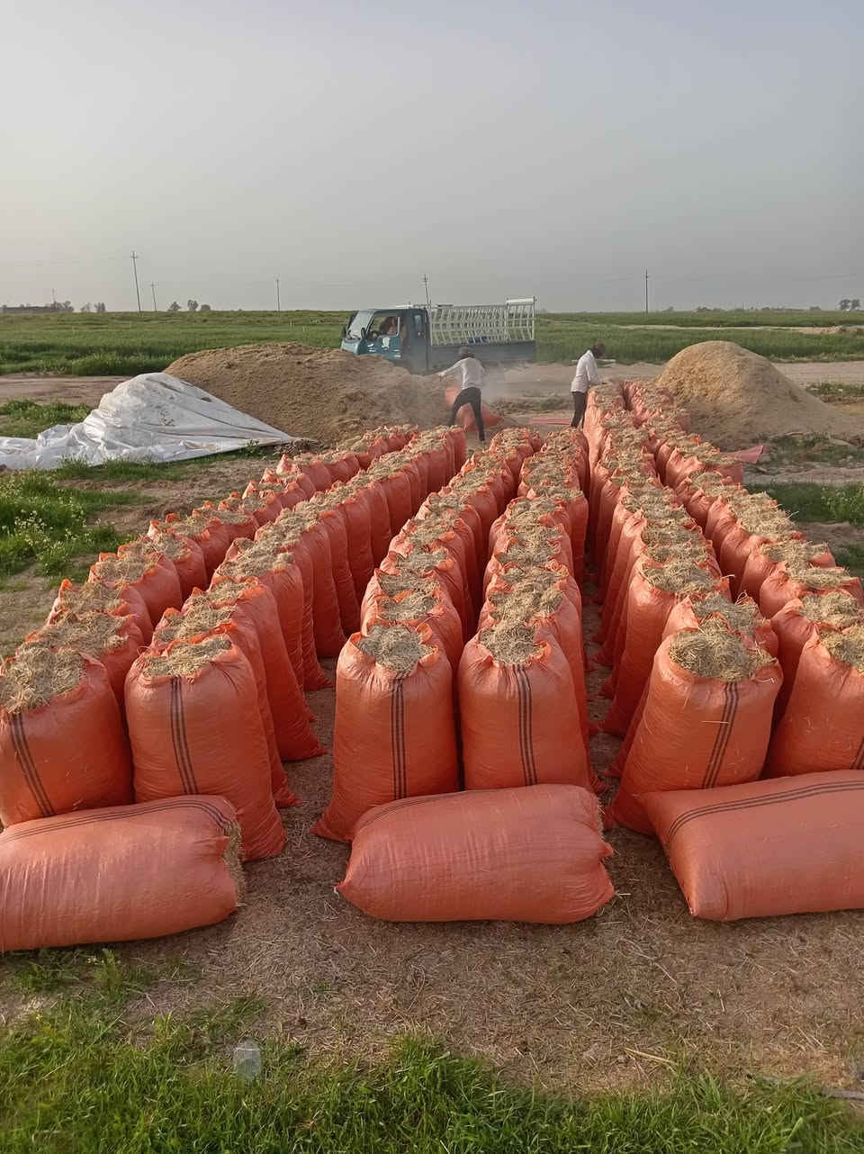 السلام عليكم تبن للبيع حجم الكيس أبو 65 سعر الزوج مطروح بالمكان 3500 ويوجد خدمه توصيل محافظات صلاح الدين بغداد الأنبار ديالى   التواصل مراسلة الصفحه على المازنجر أو الواتساب أو الاتصال على الرقم  ***********   ***********
