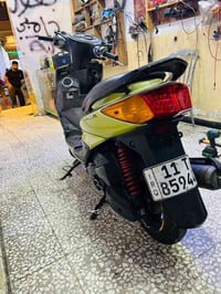 سكنس،فحل كابرتير شرط، تحويل بغدادجديده ٠٧٧٣٢٣٨١١٧٠