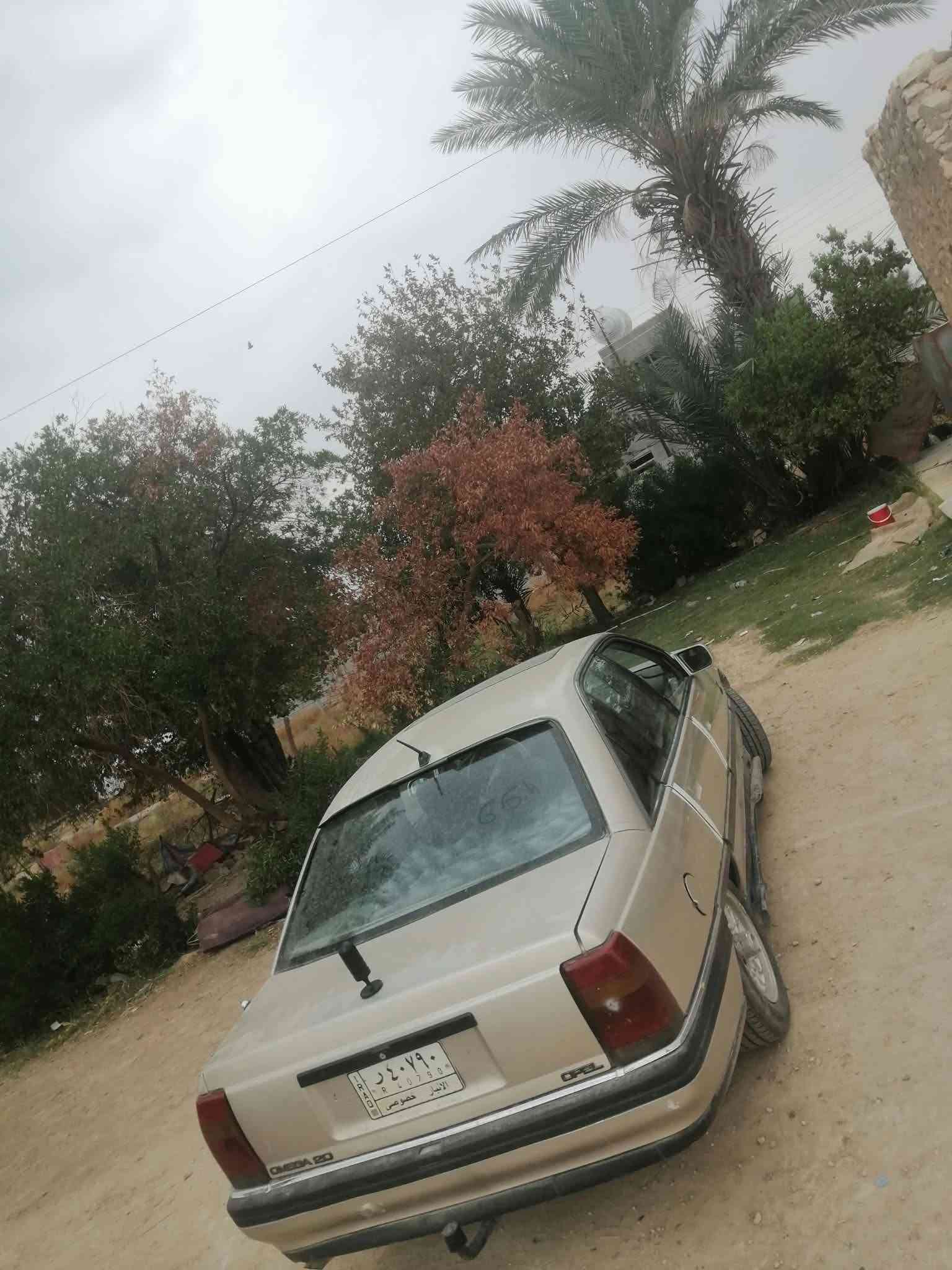 اوميكة • ١٩٩٣ • رمادي