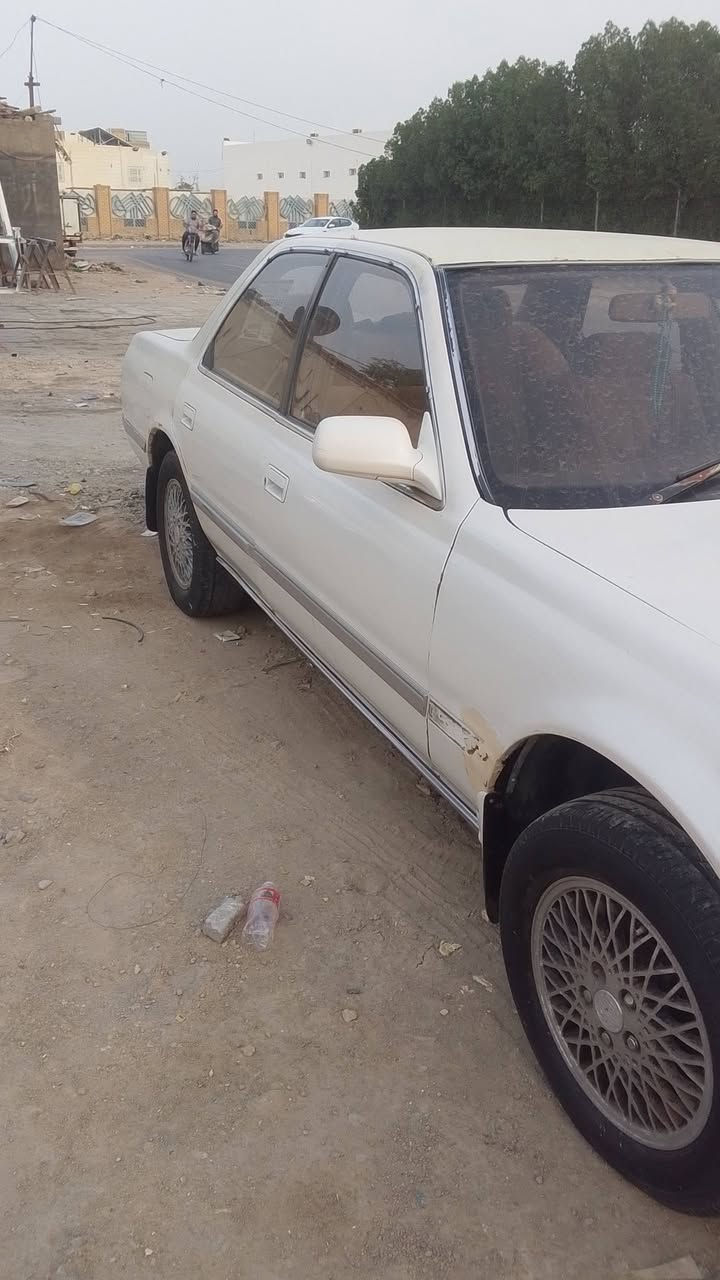كرسته • مكفولة • الگير تعبان