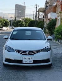 ٢٠١٩ • بدون صبغ • زنجير