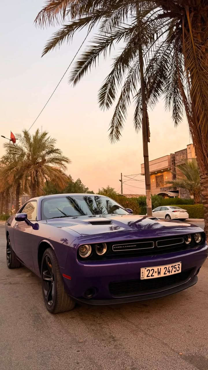 للبيع دوج جالنجر 2023 sxt last call
V6 3.6 / ماشية 46 الف 
لون بنفسجي حادث خلفي بجم كبس 
ايرباك البردة اليمنة فقط 
جاملغ خلفي صبغ و نص الصندوق و الجاملغ الثاني pdr بارد 
تعديل بارد بالشاصي الخلفي الأيمن 
صور الحادث مرفقة 
مواصفات الجالنجر المعروفة 
السيارة جاهزة متصرف عليها ربع 
السعر / 183 ورقة و بيها مجال للشراي 
رقم اربيل تحويل او وكالة 
مكاني بغداد السيدية 
***********
