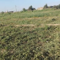 أرض زراعية المساحة دونم ونص المكان خلف الجسر الفرنسي كهرباء ماء شارع ر...