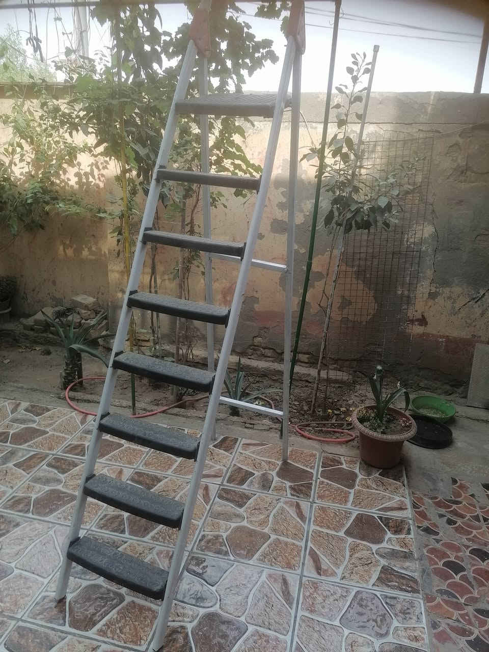 ديوانيه الجمعيه • للبيع • اتصال خاص