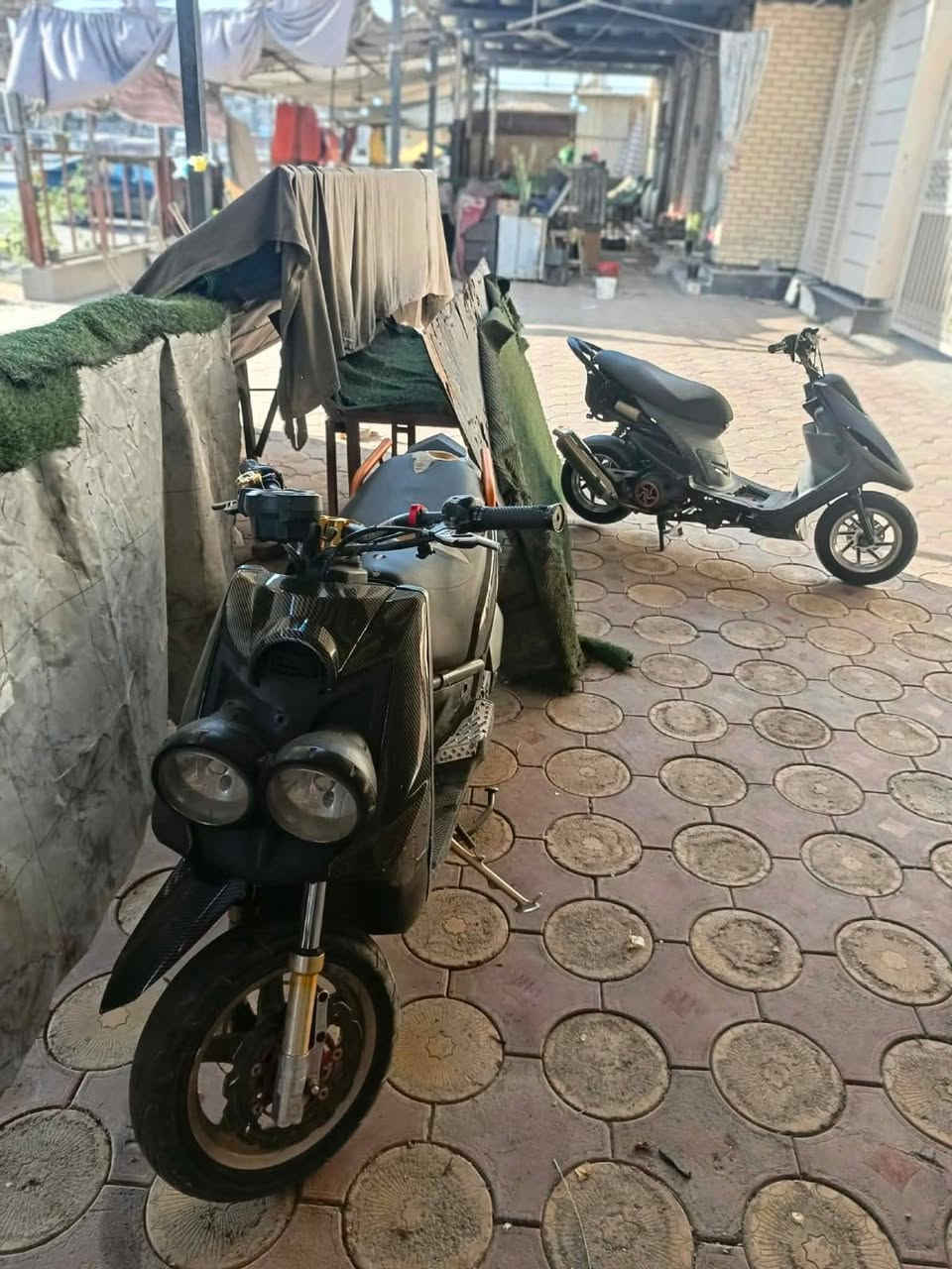 سكنس جبلي ام عيون للبيع درجه خير من الله شلعه معدل فول لدرجه مزوعه تزويد وكله اصلي درجه ٥٩ شلعه ومعدل هاون لسعر ٩٠٠وبيها مجال العنوان لدوره ابودشير لرقم ***********
