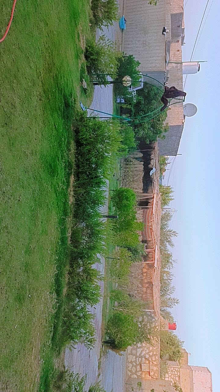 عمود ١١٠ • بي دارين • ١٠٠٠م