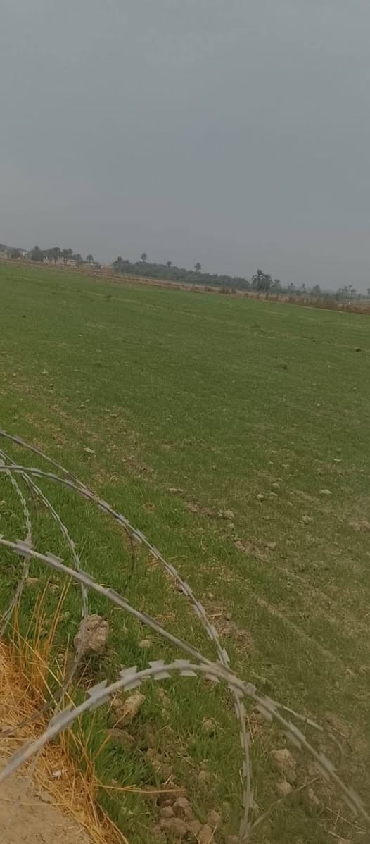 أرض زراعية للبيع مساحه 20دونم طابو زراعي تتوفر فيها جميع الخدمات مي سقي كهرباء وتبليط تبعد عن الشط الديوانية 800متر نحاله مستقله للقطعه مكان الارض السنيه  للاتصال أو الاستفسار ***********
