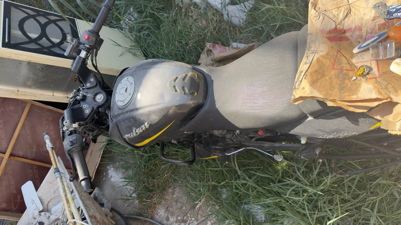 السلام عليكم
بوكسر و بولسر ثنينهن بدون اوراق 
البوكسر كل نقص مابيها جاهزه للشارع 
البولسر هم جاهزه بس تنضيف كابريتر 
و بيها لو ستيرن لو ماشه عواج بسيط بل ستيرن 
جاهزات و يمشن و كلشي مابيهن البوكسر ب 850 وبيها مجال و البولسر 800 و بيها مجال 
بغداد حي الجهاد ***********
