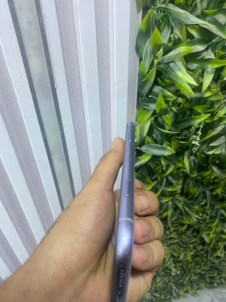 آيفون ١١ ١٢٨ • بنفجي • ظهر مكسور