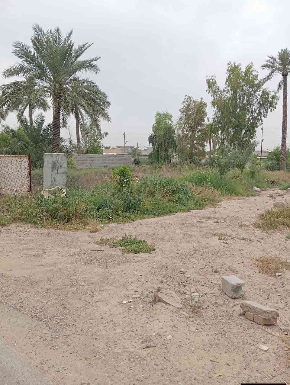 قطعة ارض ٨١٠م وجه20*40.5الصمدية مقابل جامع عقبة بن نافع تبعد عن السدة ١٥٠م زراعي ٢٥ من صاحب الأرض
للاتصال 
***********
***********
قطعة ارض ٨١٠م وجه20*40.5الصمدية مقابل جامع عقبة بن نافع تبعد عن السدة ١٥٠م زراعي ٢٥ من صاحب الأرض
