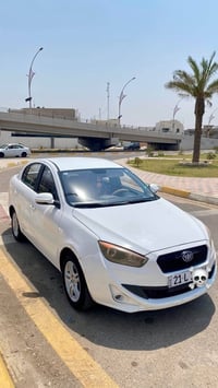 فاو اولي • ٢٠١٣ • بدون صبغ