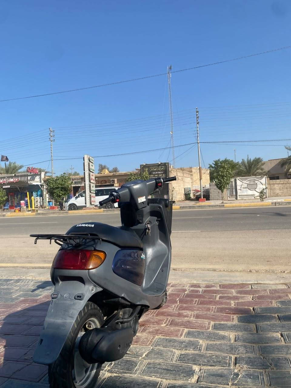 منغولي • ٦٠ • جديده