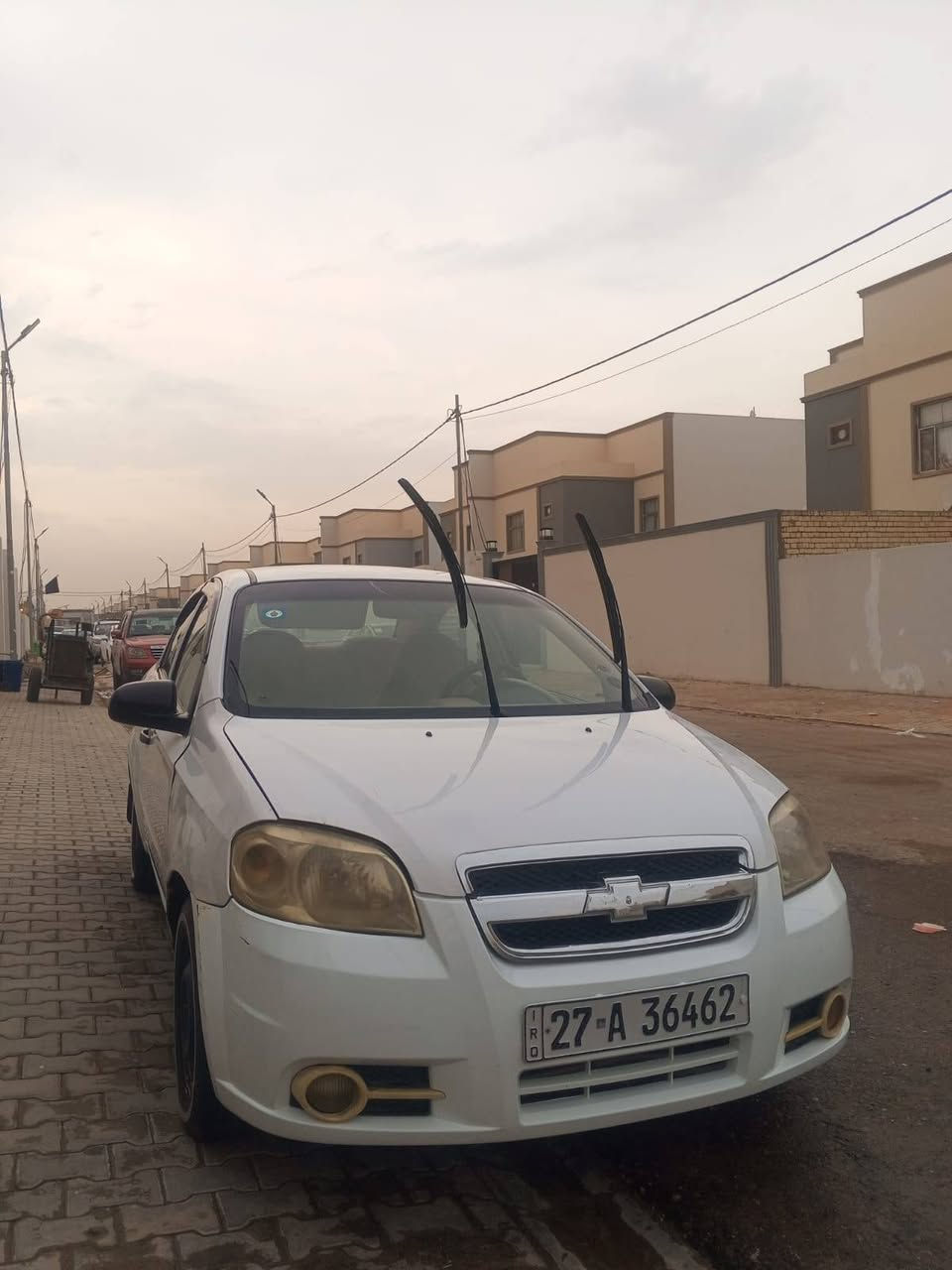 افيو • ٢٠١٣ • نجف