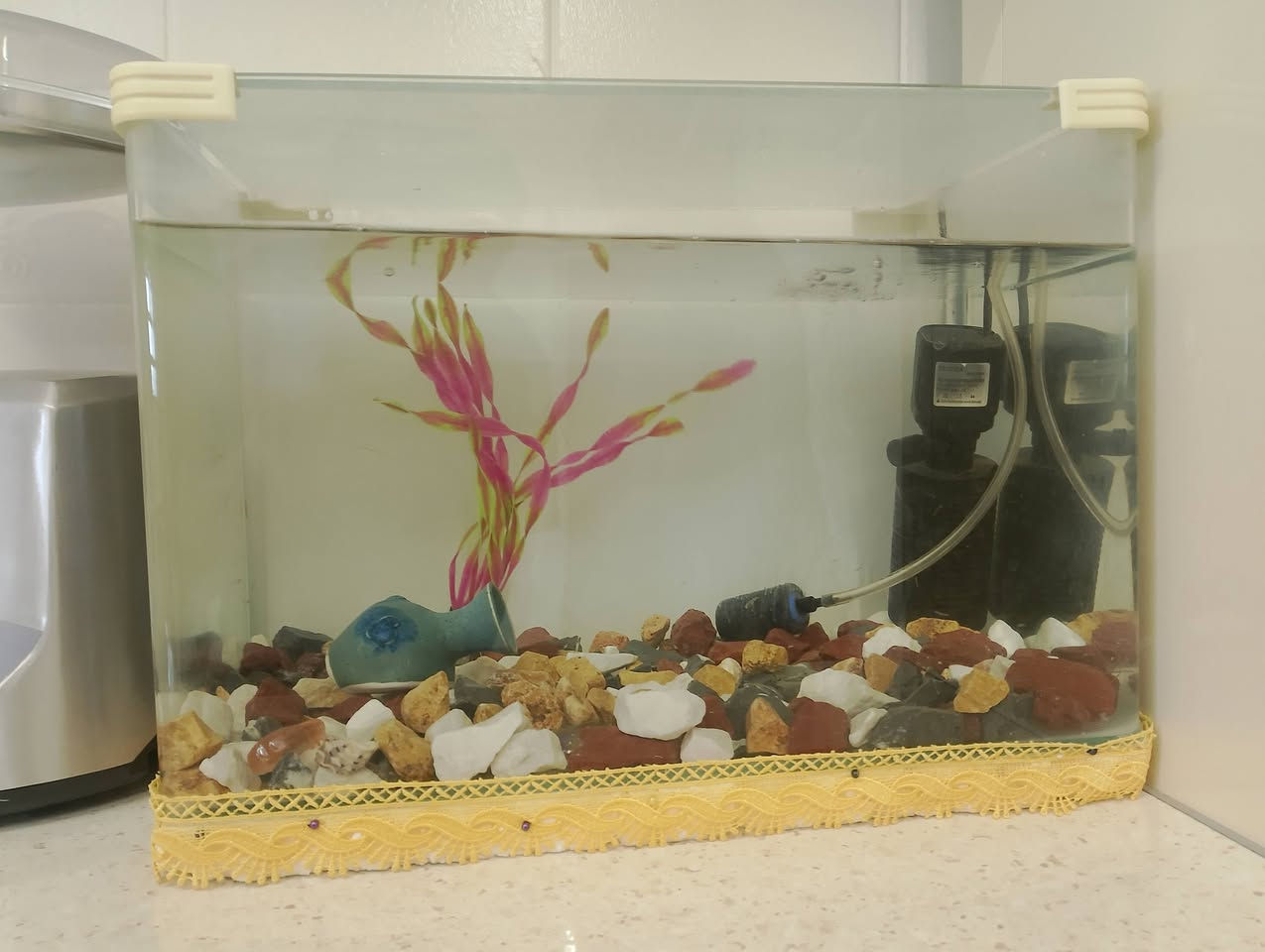 سلام علیکم 
حوض سمك للبيع 🐠

الحوض متكامل ويأتي مع كافة الملحقات والجاهزية التامة، وتشمل:

• فلتر مياه

• جهاز أوكسجين (من أفضل الأنواع الممتازة)

• خشب ديكور طبيعي (دار)

• حجر مخصص لأحواض الأسماك

💰 السعر: 35 ألف (وقابل للمجال والمراضاة)

📞 رقم الهاتف للتواصل: ***********

سلام علیکم حەوز ماسی بۆ فرۆشتن

گشت شتیکی لەگەلە 

فلتەر + ئوکسجین + دار +بەردی حەوزی ماسی + 

باشترین ئوکسجینی پێوەیە 

نرخی : 35 مەجالی تیایە 

ژمارەی تەلەفون ***********
