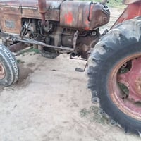 عنتر • موديل ٨٢ • ديالى كنعان