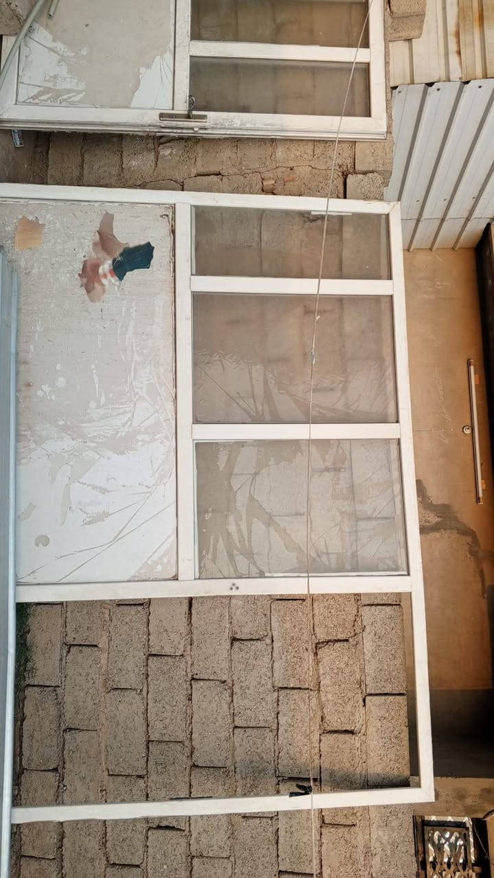 ساندويچ • ٣ قطع • جينكوه