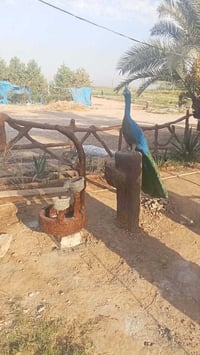 البيع والشراء • اتصال