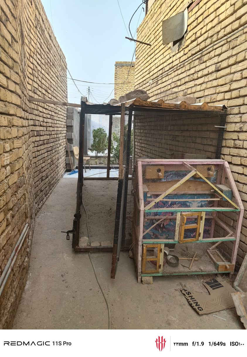 السلام عليكم محميه
الطول 3,41 متر العرض 1,66 متر مع قفص زغير مكاني ناصريه مركز اخوان السعر خاص او واتساب ***********
