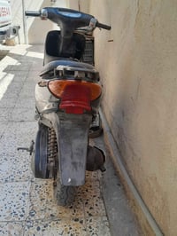 عصفوري • اوراق باسمي • كابريتر