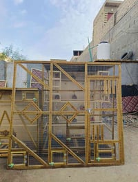 طيور زينة • ارتفاع ١٨٠ • عرض ٢م