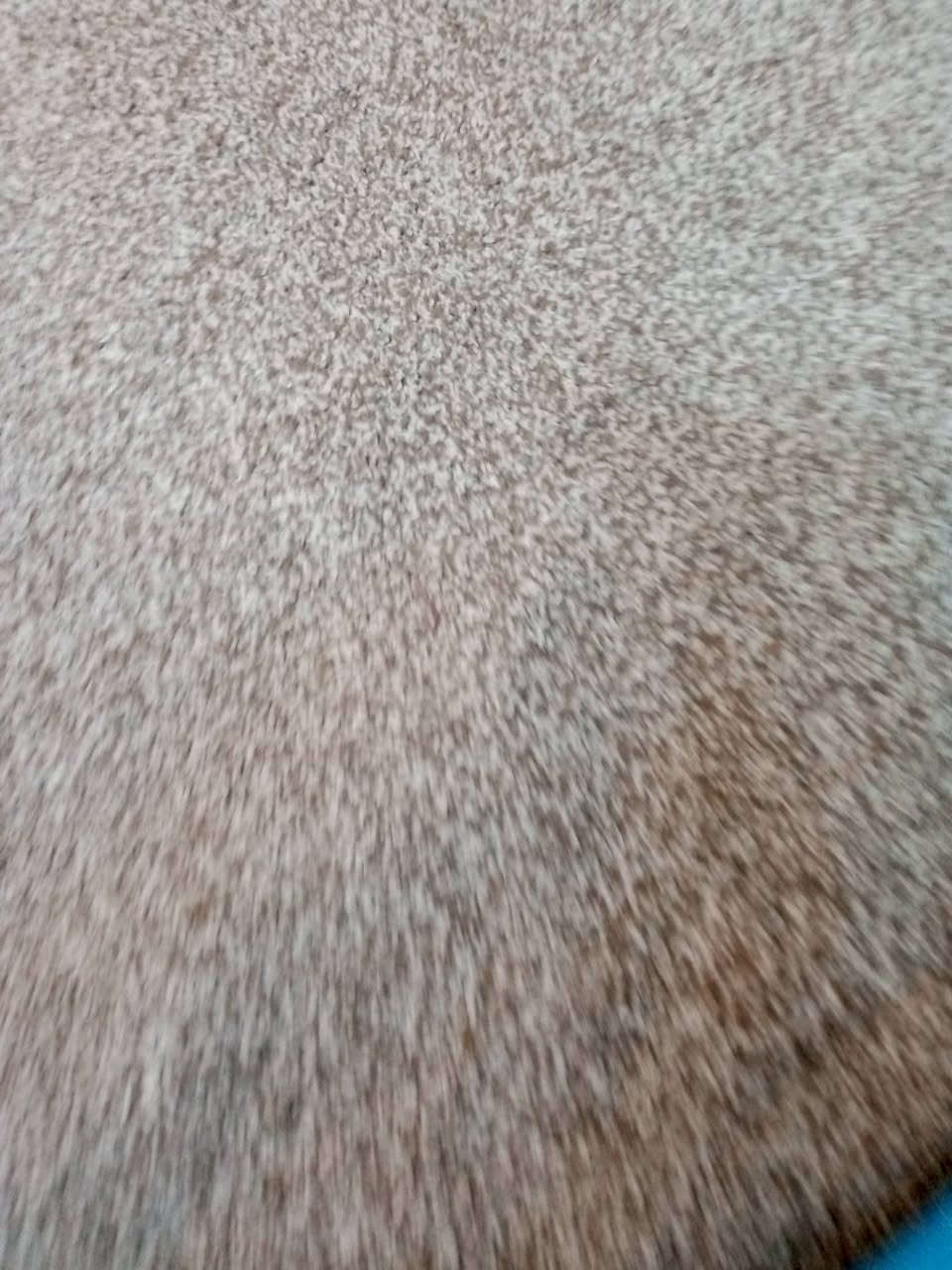 كاربد اربعه في اربعه سعر ٤٠مكان حريه لونه جوزي
