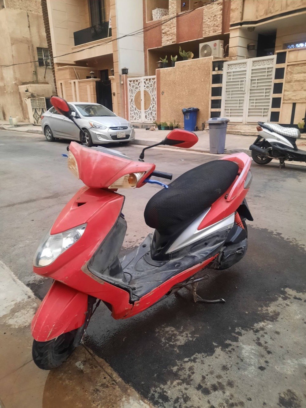 سكنس فحل • نوزل • مضروبة خشابي