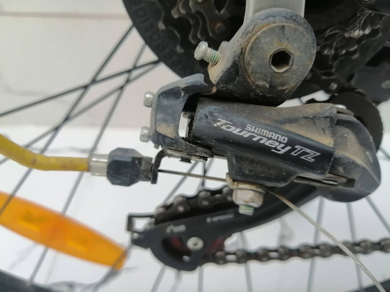 دراجة هوائية جبلي MTB مقاس 29

دبل امامي شغال

بريكات ديسك

كشن عريض ومريح

عقرب وشفتر شيمانو 6 speed

نضافة 100 % مابيه اي شخط

دراجة كامله مايحتجلها شي مابيها اي عطل

السعر المطلوب 160 الف

للاستفسار اكثر تواصل مع صاحب الدراجة على الواتساب ***********

اني مكلف بالنشر فقط🌹🌹🌹

💜💜💜💜💜💜💜💜💜💜💜💜💜💜💜💜💜💜💜

دراجەیەکی پاسکیلـی شاخەوانی MTB، قەبارەی ٢٩.

شۆکبەرەی پێشەوە کار دەکات.

بریکەکانی دیسکن.

کورسییەکی پان و ئاسوودەی هەیە.

عەقریب و شفتر Shimano، 6 speed.

پاک و خاوێنە ١٠٠٪، هیچ شخطێکی تێدا نییە.

پاسکیلەکە تەواوە و هیچ شتێکی پێویست نییە، هیچ کێشە و عەیبێکی نییە.

💰 نرخی داواکراو: ١٦٠ هەزار دینار

بۆ زانیاری زیاتر، لە ڕێگەی واتسئاپەوە لەگەڵ خاوەنی پاسکیلەکە پەیوەندی بکەن: ***********

من تەنها بەرپرسیارم لە بڵاوکردنەوەی ئاگهییەکە 🌹🌹🌹
