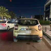 داستر • ٢٠١٩ • لا صبغ ولا برد