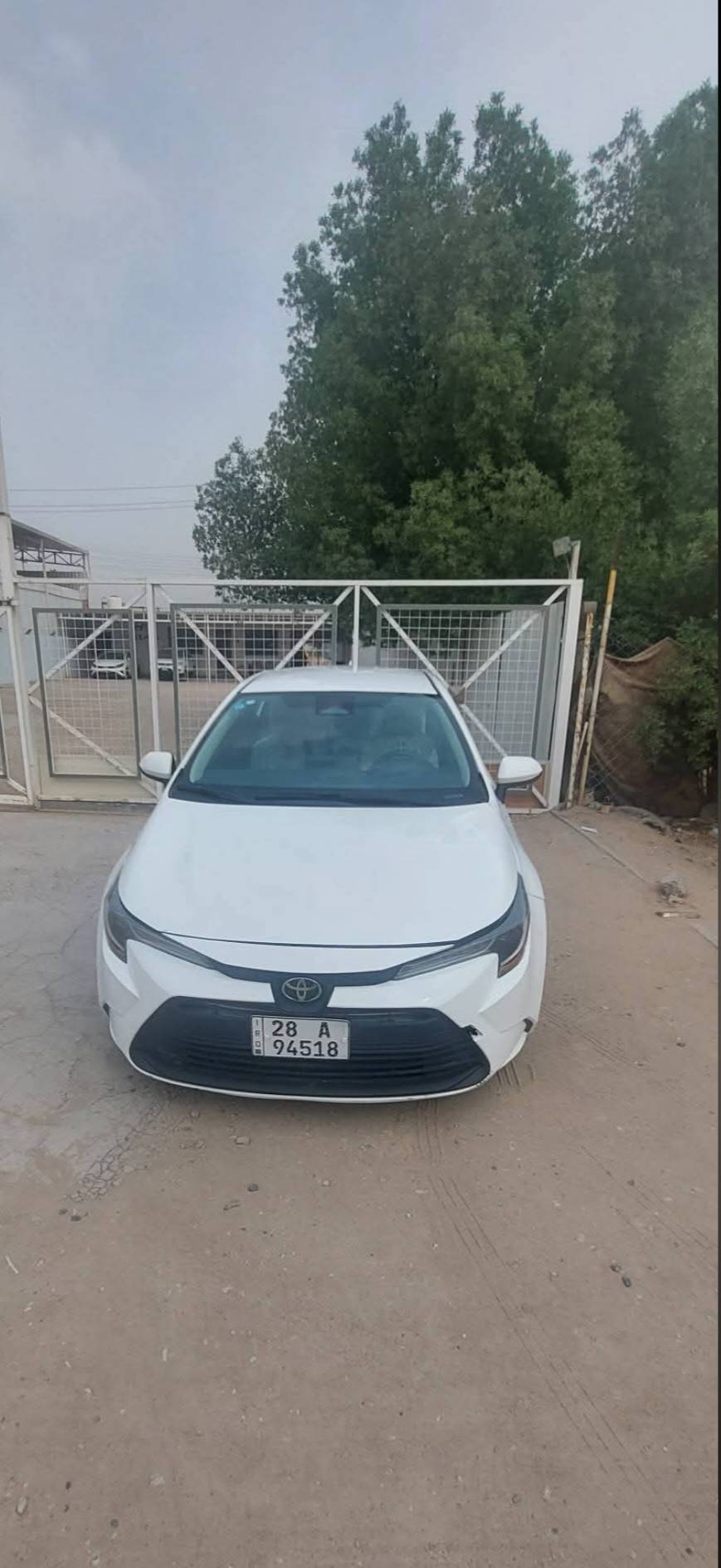 كورلا LE • ٢٠٢٤ • رقم نجف