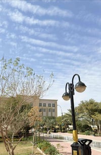عيادات جامعة الكفيل • خدمات أسنان مجانية • يوم 22