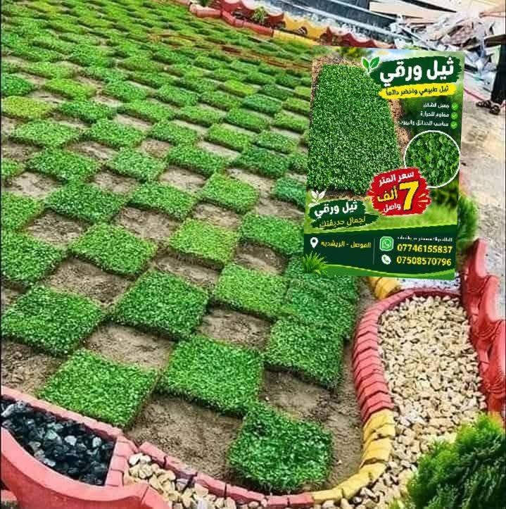 تم توفير الثيل ورقي ايطالي المتر 7 واصل باب البيت الحجز الاستفسار *********** بي واتساب ***********

نص مكتوب في الصور:
- ثيل ورقي ثيل طبيعي وأخضر دائماً جميل الشكل مقاوم للحرارة مناسب للحدائق والبيوت سعر المتر 7 ألف واصل ثيل ورقي لجمال حديقتك الموصل - الريشديه للطلب والاستفسار عبر واتساب *********** ***********
- ثيل ورقي ثيل طبيعي وأخضر دائماً جميل الشكل مقاوم للحرارة مناسب للحدائق والبيوت سعر المتر 7 ألف واصل ثيل ورقي لجمال حديقتك للطلب والاستفسار عبر واتساب *********** *********** الموصل - الرشيديه
- ثيل ورقي ثيل طبيعي وأخضر دائماً جميل الشكل مقاوم للحرارة مناسب للحدائق والبيوت سعر المتر 7 ألف واصل ثيل ورقي لجمال حديقتك الموصل - الريشديـه للطلب والاستفسار عبر واتساب *********** ***********
- ثيل ورقي ثيل طبيعي واخضر دائماً حسن الشكل مقاوم للحرارة مناسب الحدائق والبيوت سعر المتر 7 ألف واصل ثيل ورقي لجمال حديقتك الموصل - الرشيدية *********** ***********