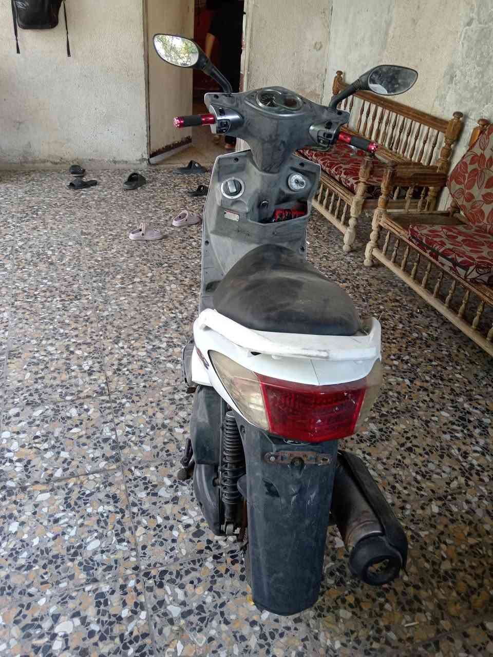 سكنس فحل ياباني قبق نفخ ستان حساس للبيع دراجة حلوه السعر 700 مكاني بغداد الدوره ***********

